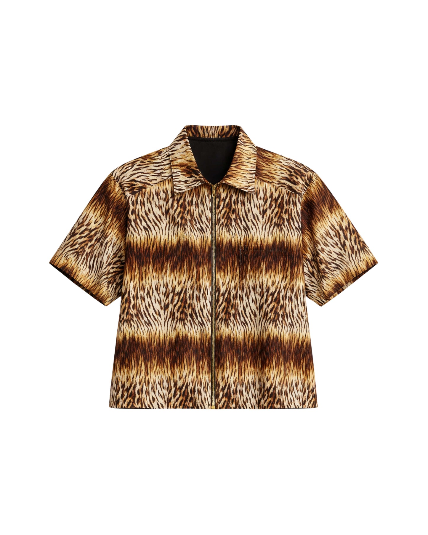 Animalize DD