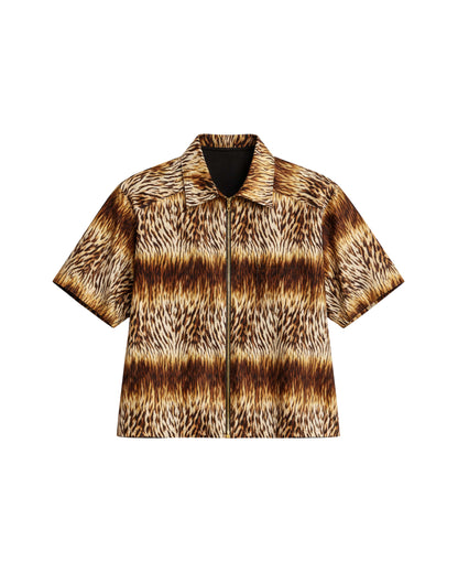 Animalize DD