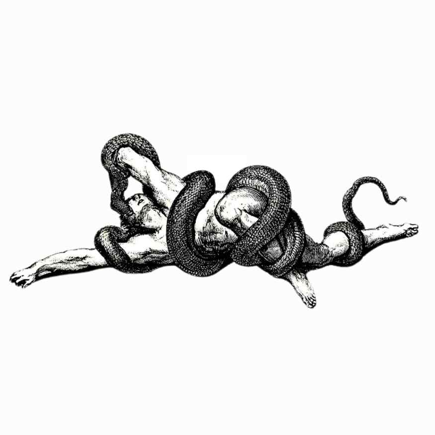 Viper Attack (Pocas Piezas)