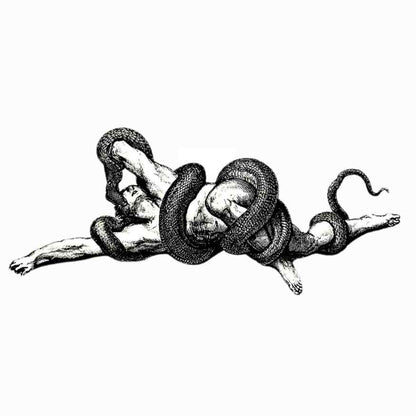 Viper Attack (Pocas Piezas)